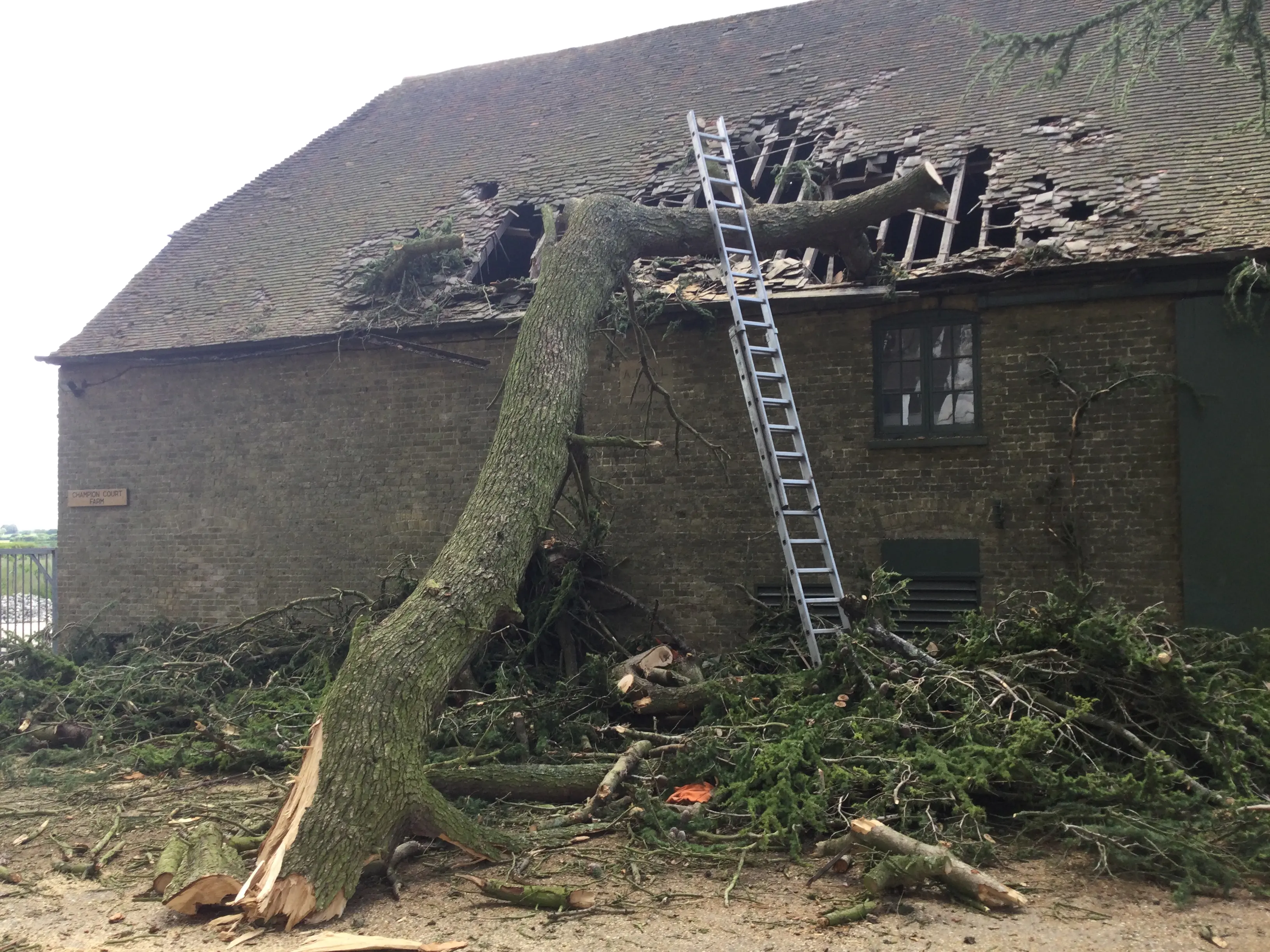 Specialist access, rigging and MEWP work