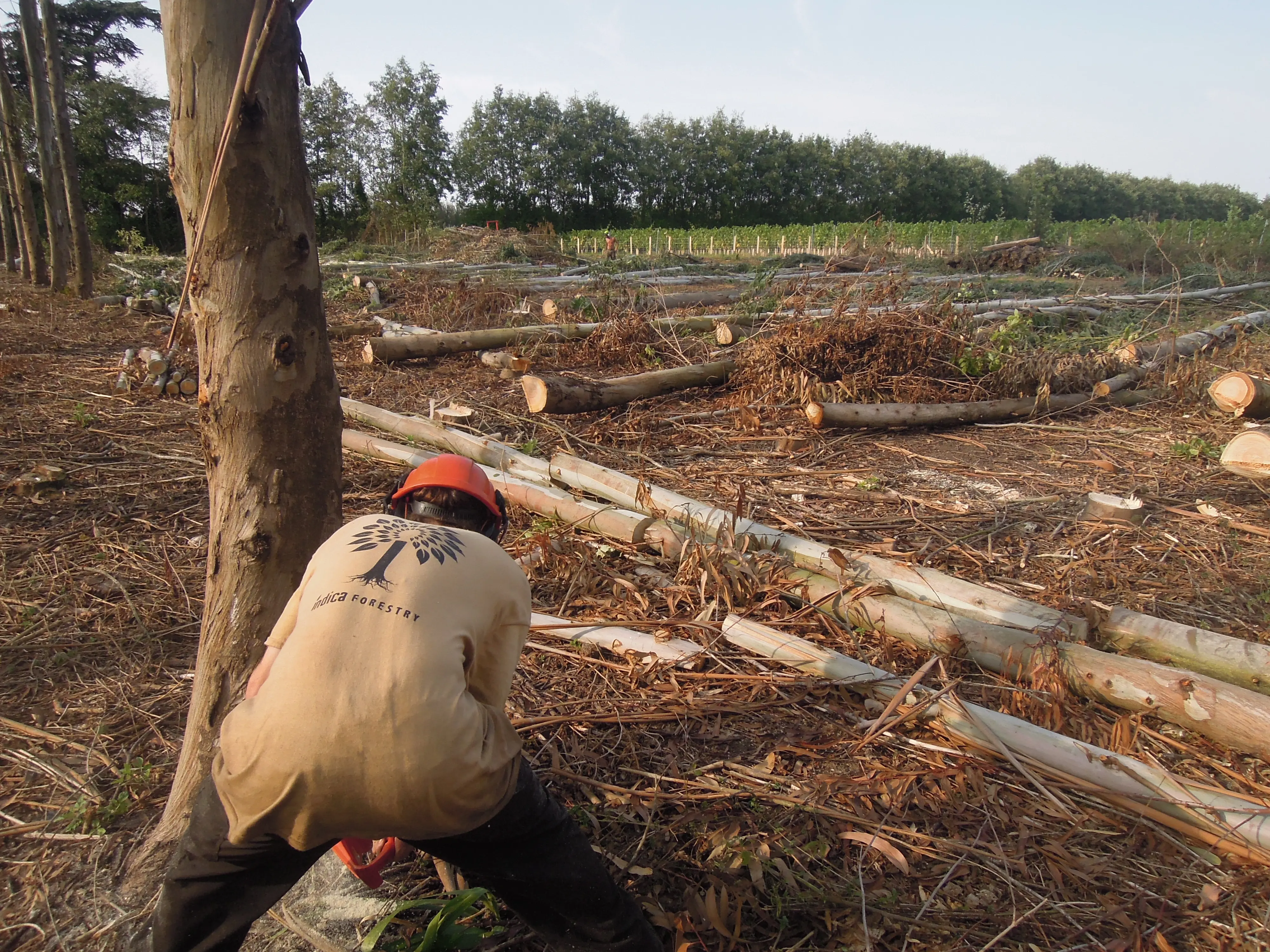 Planning, licences and management plans